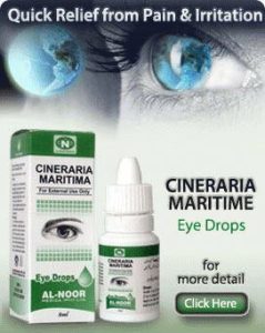 Cineraria-Maritima Eye-Drops